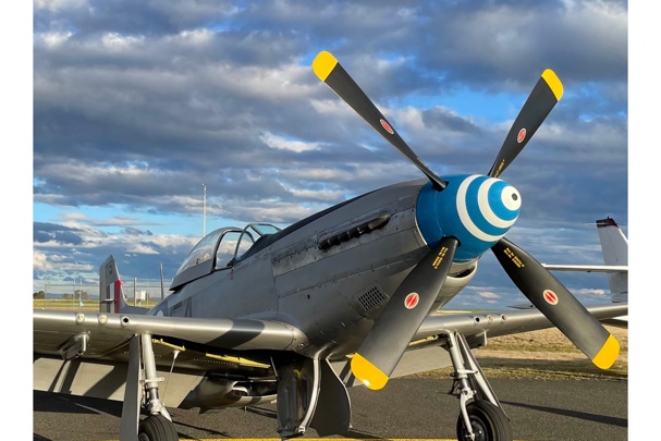 Mustang Flights